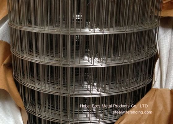 Cina 304 3/4 Stainless Steel Welded Wire Mesh Untuk Konstruksi, Anti korosi pemasok