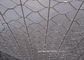 Hot Dipped Galvanized Hexagonal Woven Wire Netting Untuk kandang unggas pemasok